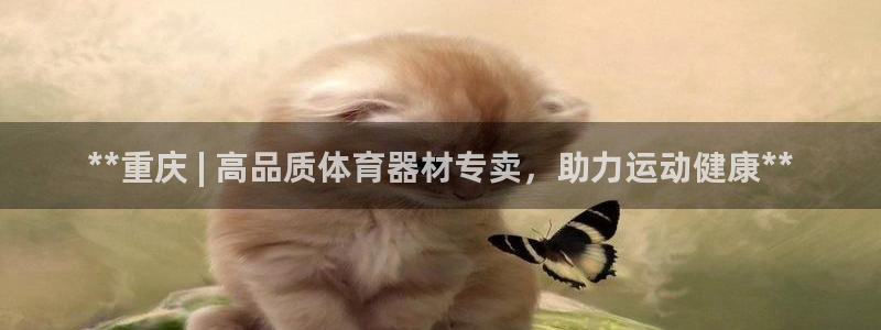 富联娱乐服务站电话：**重庆 | 高品质体育器材专卖