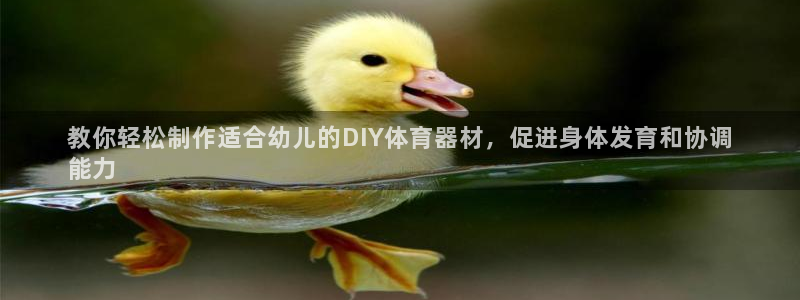 江西富联地产：教你轻松制作适合幼儿的DIY体育器材，
