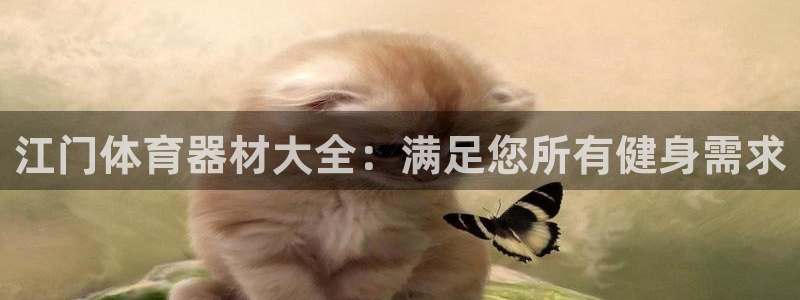 富联娱乐戚少风：江门体育器材大全：满足您所有健身需求