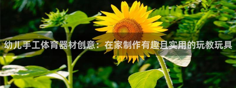 富联工坊：幼儿手工体育器材创意：在家制作有趣且实用的