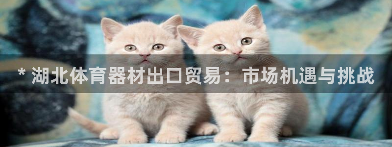 富联娱乐向 5o69I7：* 湖北体育器材出口贸易：