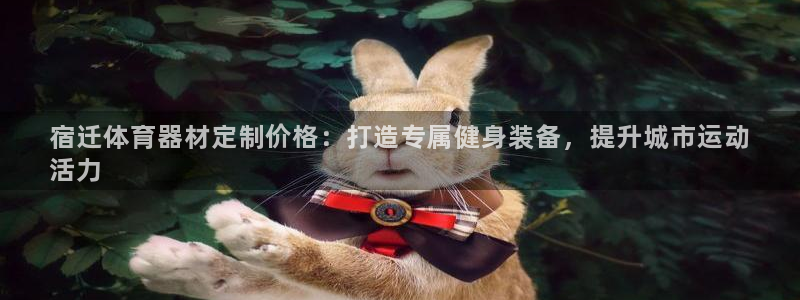 富联是什么意思网络用语：宿迁体育器材定制价格：打造专