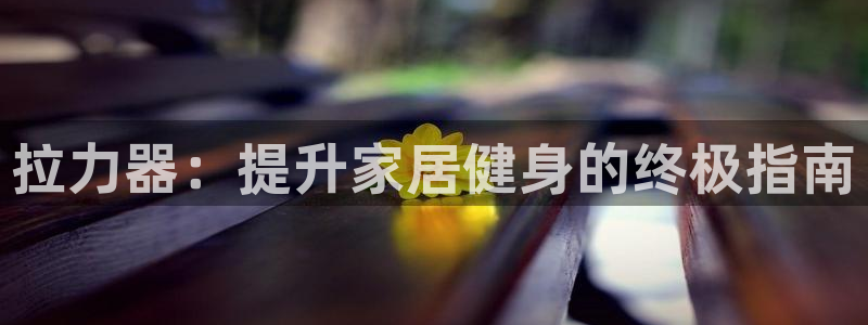 富联展示中心：拉力器：提升家居健身的终极指南