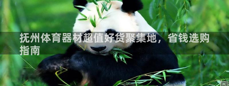 富联官网登录网址：抚州体育器材超值好货聚集地，省钱选