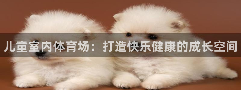 富联平台乙6.7.5.1.3.8：儿童室内体育场：打