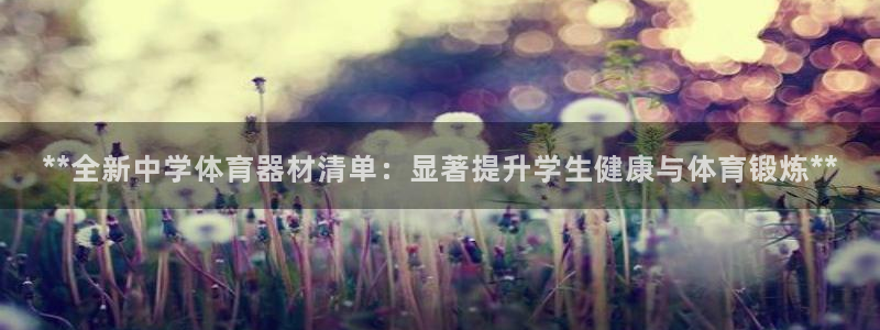 富联平台上级下级是什么：**全新中学体育器材清单：显