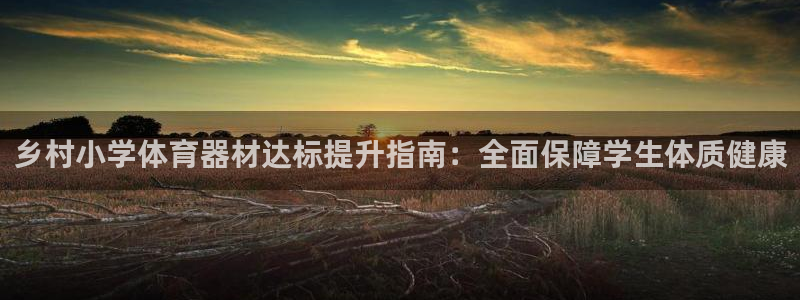 富联集团做什么的啊：乡村小学体育器材达标提升指南：全