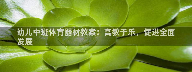 富联平台木 5o69I7：幼儿中班体育器材教案：寓教