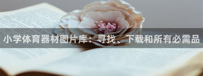 富联娱乐测速登录失败：小学体育器材图片库：寻找、下载