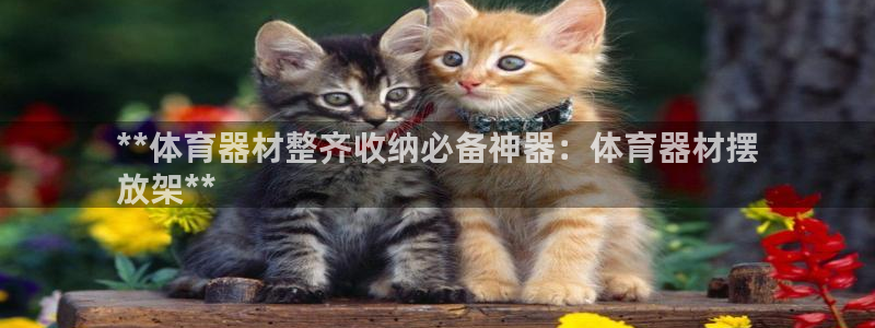 富联娱乐华 5O6917 娱乐：**体育器材整齐收纳