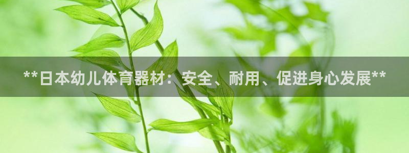 富联官网登录网址：**日本幼儿体育器材：安全、耐用、