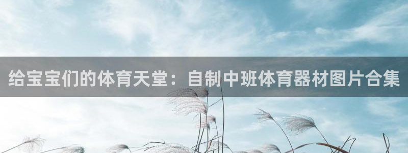 富联平台招商电话：给宝宝们的体育天堂：自制中班体育器
