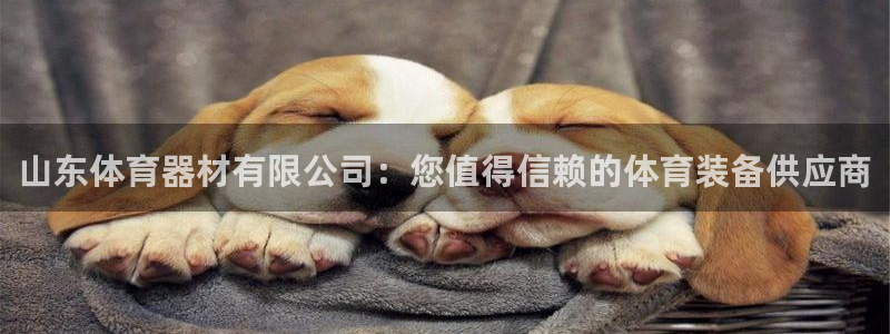 富联图文：山东体育器材有限公司：您值得信赖的体育装备