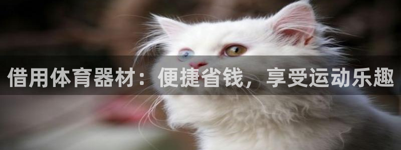 富联官网注册流程图片：借用体育器材：便捷省钱，享受运