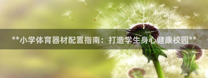 富联官网代理系列产品：**小学体育器材配置指南：打造学生身心