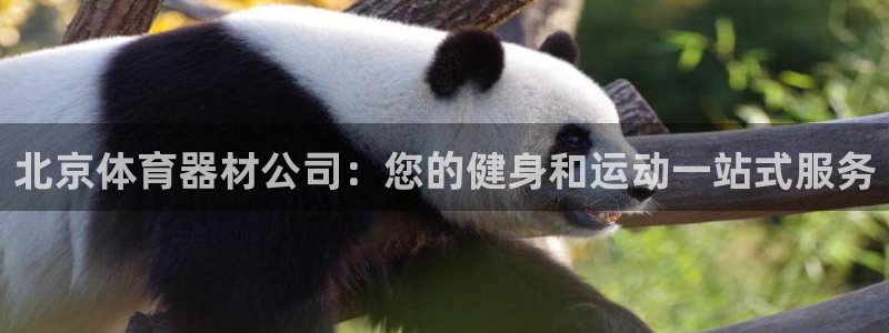富联娱乐登录地址在哪里：北京体育器材公司：您的健身和运动一站
