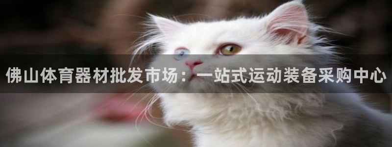 富联娱乐客户端app下载服务器异常怎么回事：佛山体育器材批发