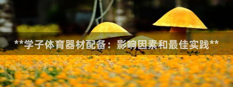 富联金融：**学子体育器材配备：影响因素和最佳实践**