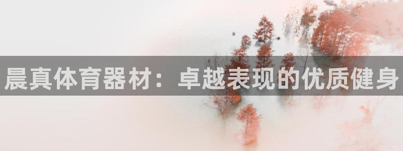 富联工坊：晨真体育器材：卓越表现的优质健身