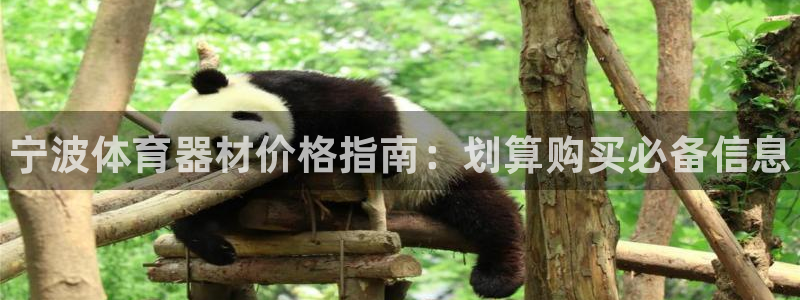 富联官网授权：宁波体育器材价格指南：划算购买必备信息