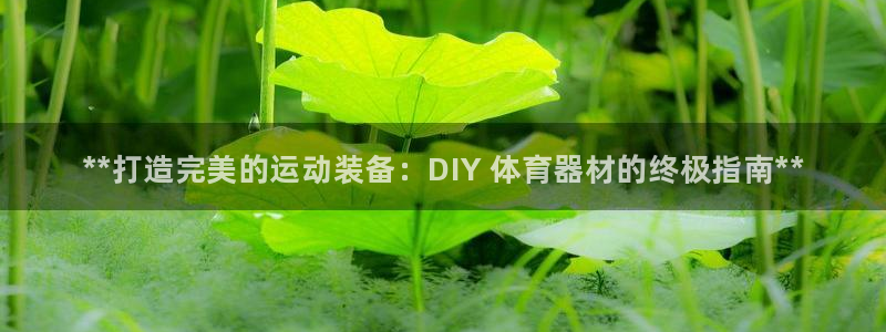 杭州富联科技：**打造完美的运动装备：DIY 体育器材的终极