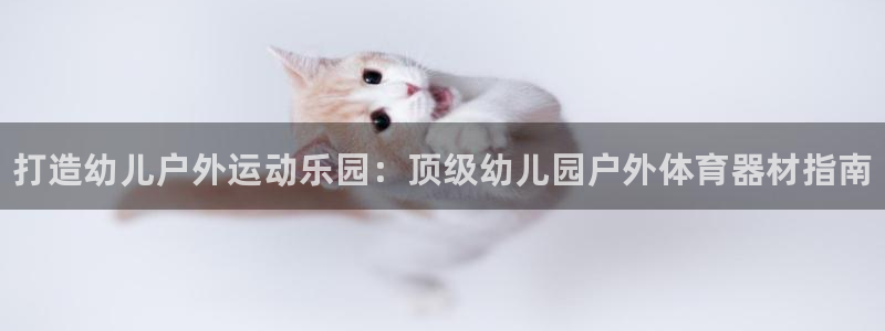 股票富联申购今天多少钱：打造幼儿户外运动乐园：顶级幼儿园户外