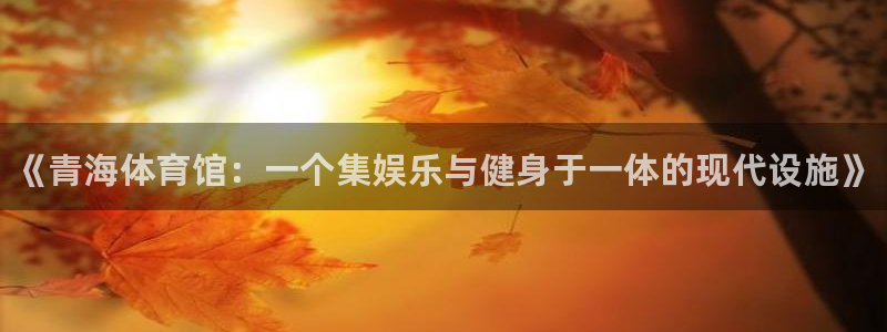 富联娱乐在线注册链接：《青海体育馆：一个集娱乐与健身