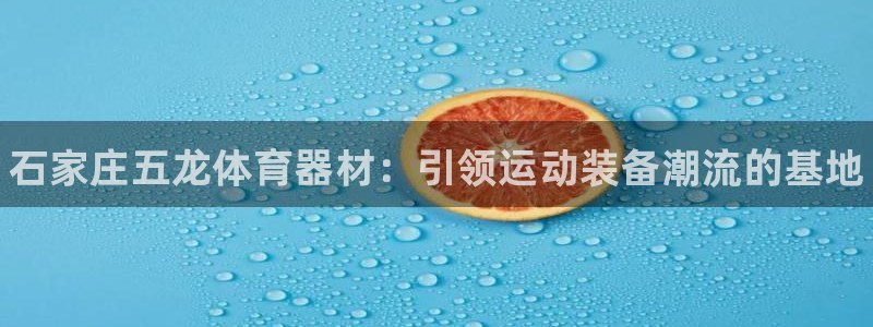 富联一区属于哪个街道：石家庄五龙体育器材：引领运动装备潮流的