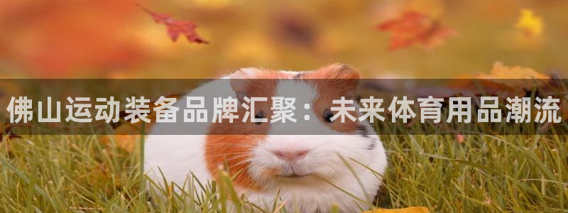 富联平台官网登录网址：佛山运动装备品牌汇聚：未来体育用品潮流