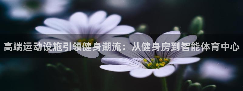 富联申购可以赚多少钱：高端运动设施引领健身潮流：从健身房到智