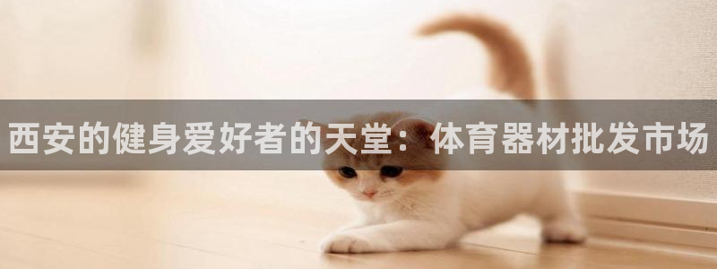 富联平台注册地址在哪里：西安的健身爱好者的天堂：体育器材批发